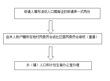 9 流动人口婚育证