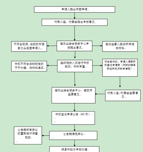11-2 林权证的初审