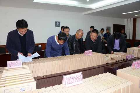 查阅县级台账资料