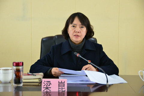 2、梁崑书记在会上讲话