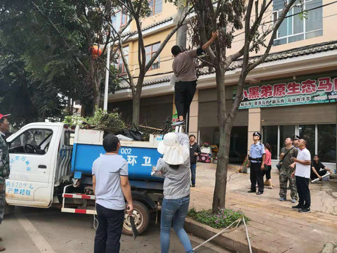 微信图片_20190819151713