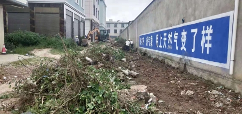 板桥街道整治集镇背街小巷环境卫生 (6)