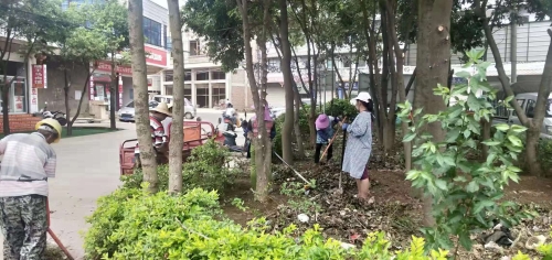 石林街道组织干部职工、动员村民群众整治辖区环境卫生 (2)
