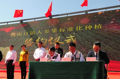 签订人参果产业合作协议
