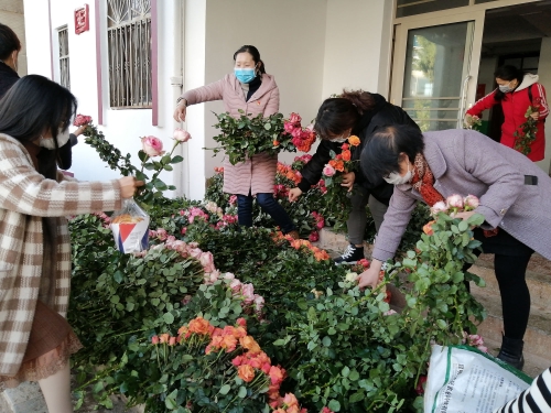 微信图片_20200212104208