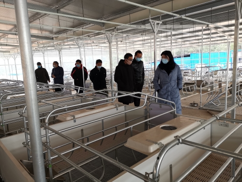 微信图片_20200221145639