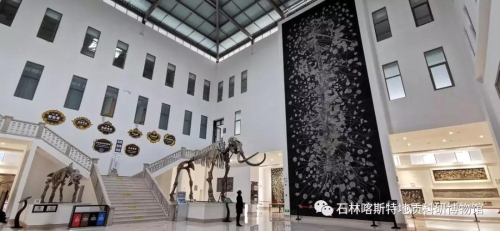 微信图片_20200226145033