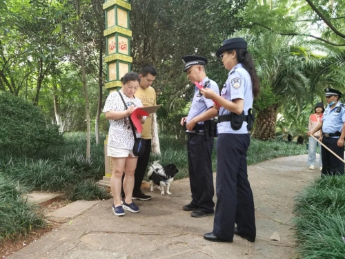 微信图片_20200807154704