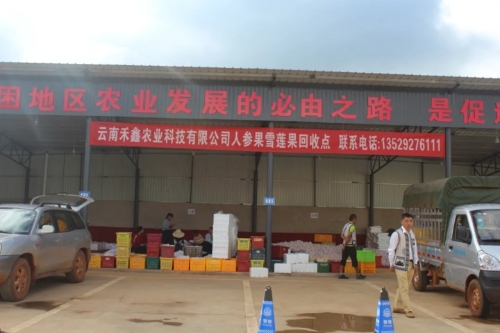 微信图片_20200828154017
