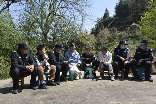 图片3