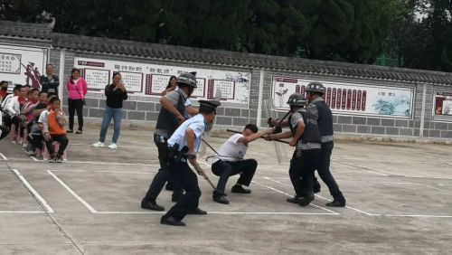 图片3