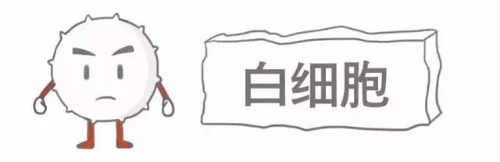 微信图片_20201214093540