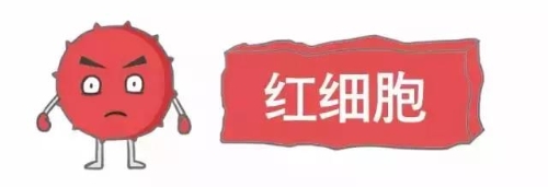 微信图片_20201214094105