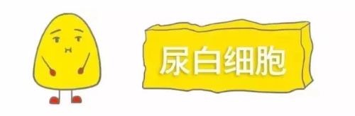 微信图片_20201214095804
