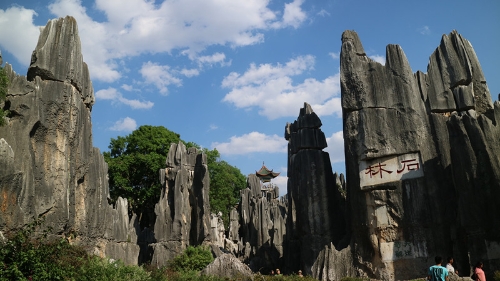 石林胜景
