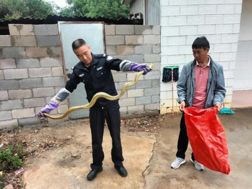 图片2