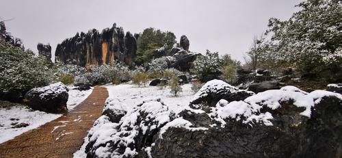 瑞雪迎春(乃古石林景区供图)