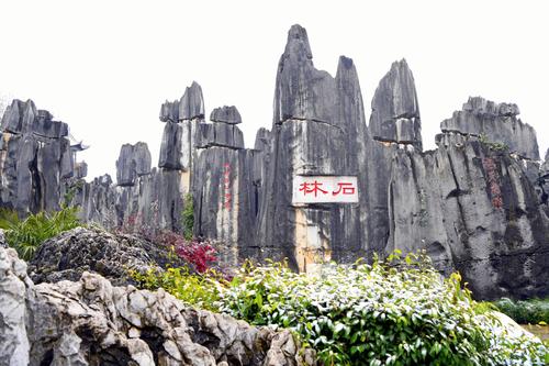 石林胜景（王丽梅摄）