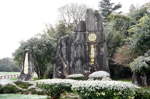 世界自然遗产地石林（王丽梅摄）