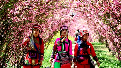 花季（赵国洪摄 ）