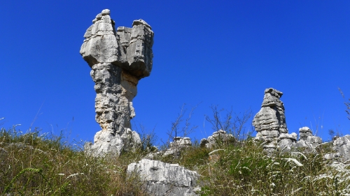 P1030499