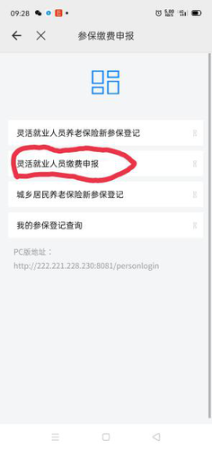 图片3