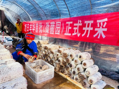 微信图片_20221122170945