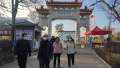 图片3