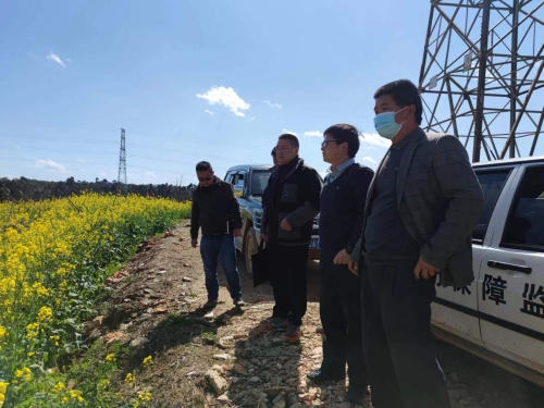 鹿阜街道领导到小河视察油菜花种植情况