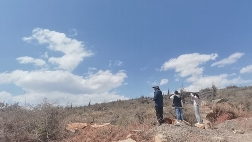 微信图片_20230324160949