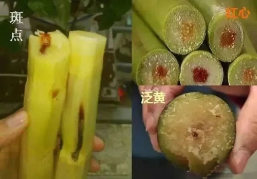 微信图片_20230407142034