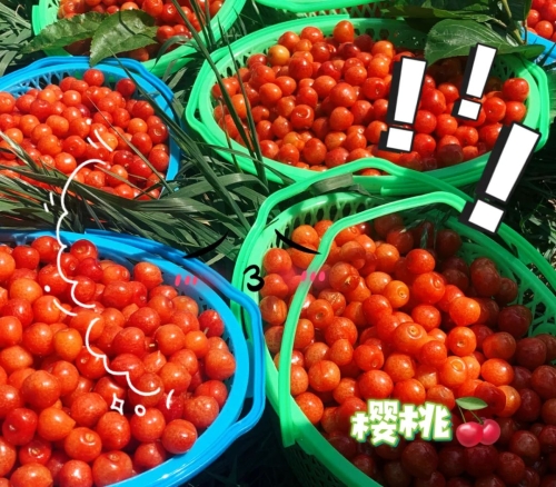 微信图片_20230412153213