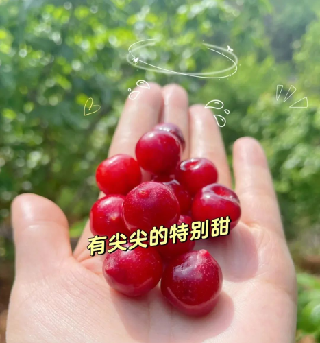微信图片_20230412153216