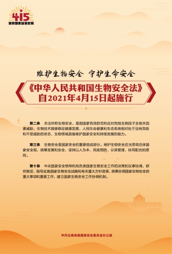 法律海报竖版（尺寸57cm×84cm）-03