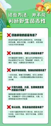 微信图片_20230518110115