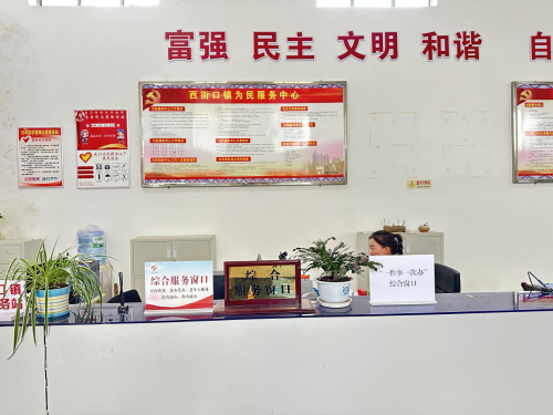 图片4