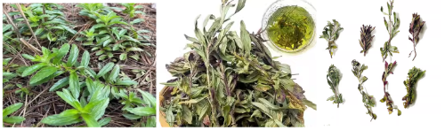 12 12