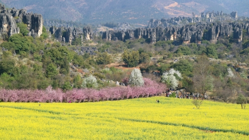 乃古石林风景区
