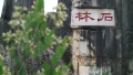 石林