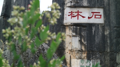 石林