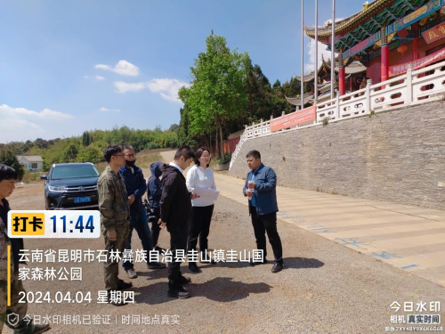 图片2