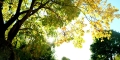 微信图片_<span style='background-color:;'>202404281610175</span>