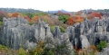 微信图片_<span style='background-color:;'>202404281610177</span>