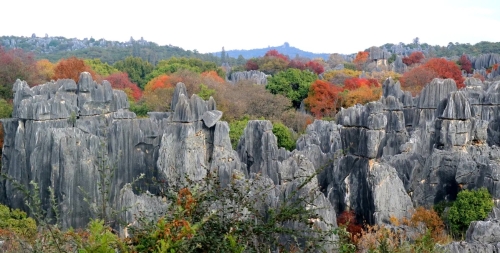 微信图片_<span style='background-color:;'>202404281610177</span>