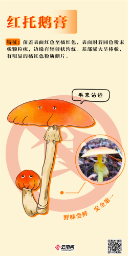 1 1