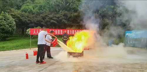 图片4
