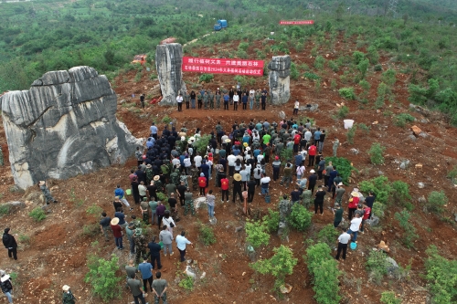 DJI_0008