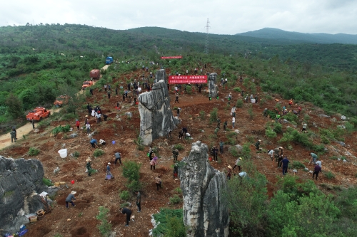 DJI_0029