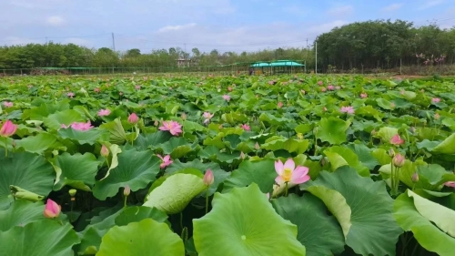 微信图片_20240816173147 微信图片_20240816173147