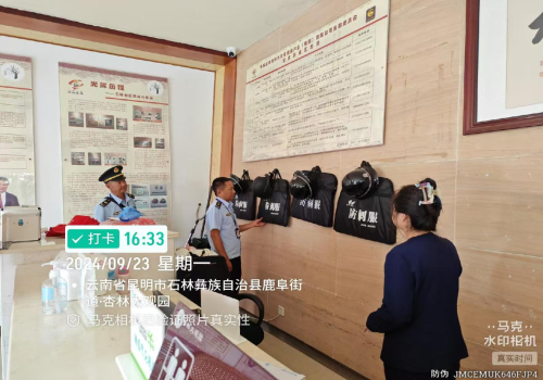 图片3